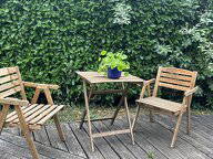 Chambre chez l'habitant à louer à Etrembières - photo 6 : jardin-6