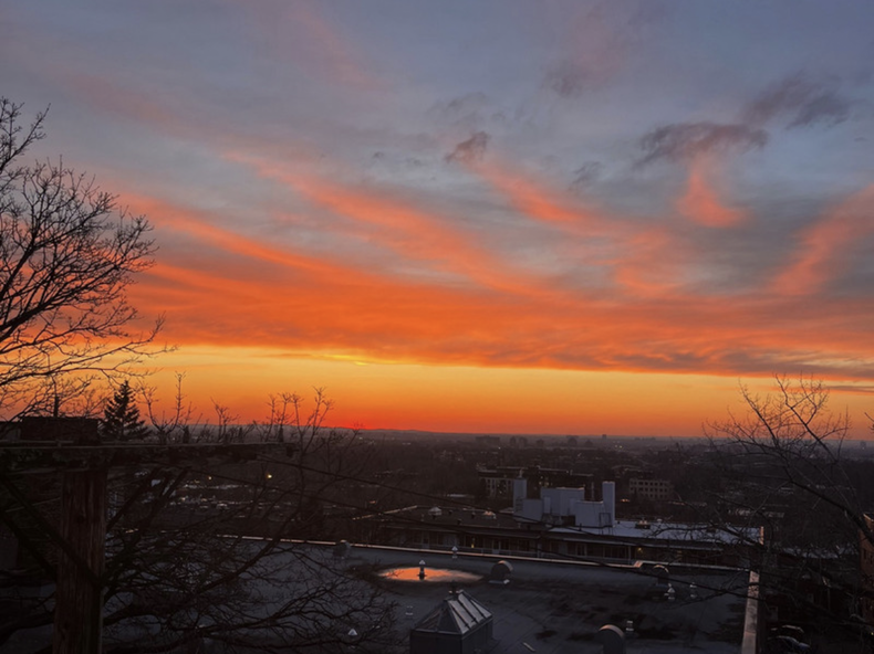 Colocation Montréal 457759-1