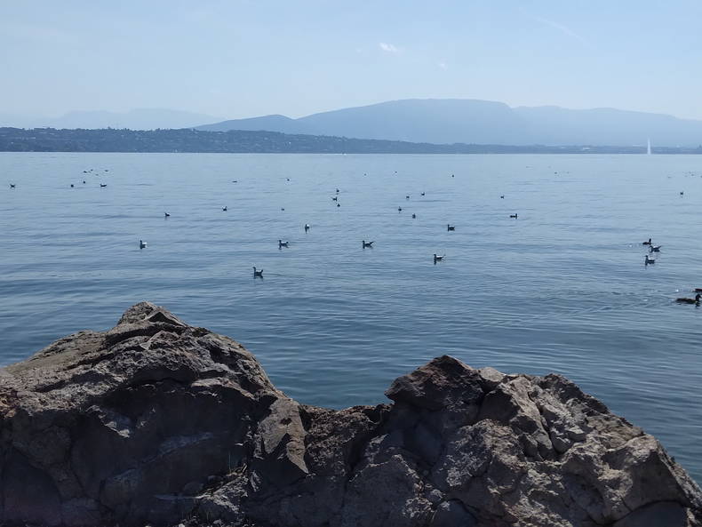 Homestay Ornex 253115-3