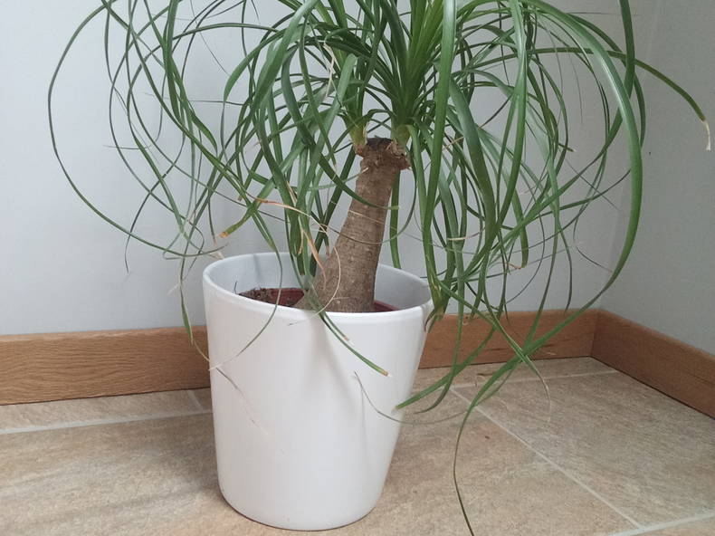 Gästezimmer Beaussais-sur-Mer 478987-4