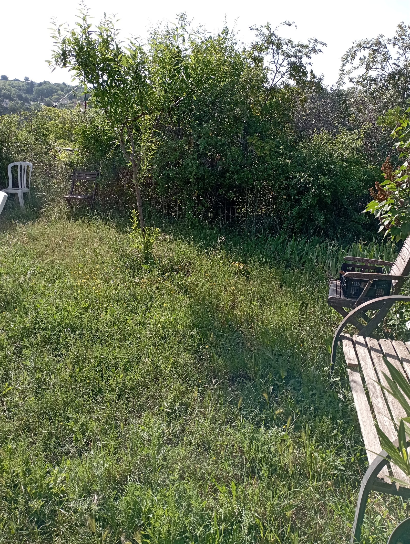 Gastgezin Valensole 258737