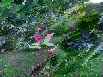 Chambre Chez L'habitant Ennery 115969-7