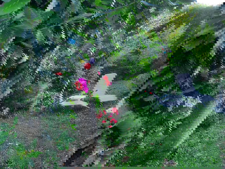 Famiglia Ennery 115969-5