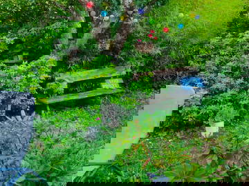 Chambre Chez L'habitant Ennery 115969-19