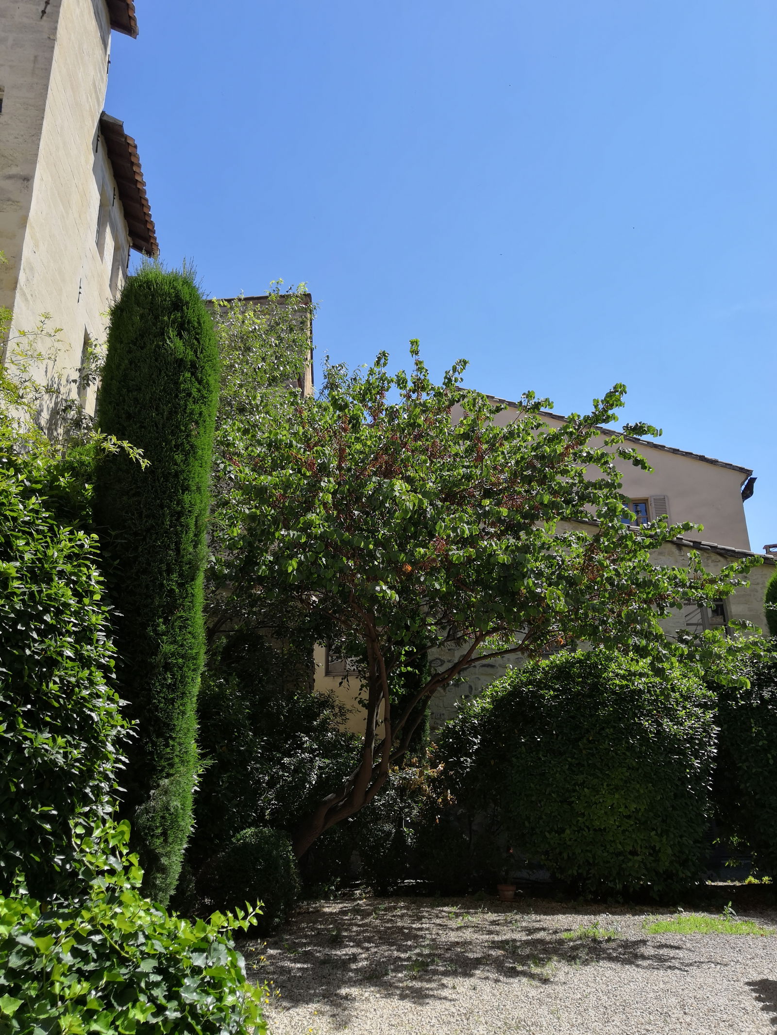 Chambre Chez L'habitant Avignon 235016