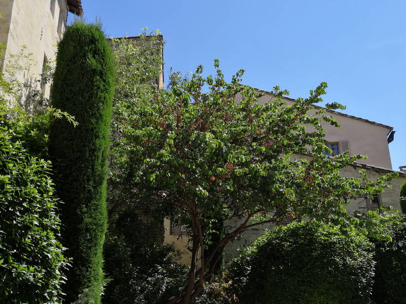 Gastgezin Avignon 235016-5