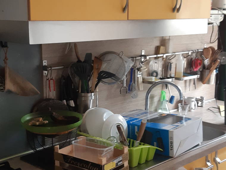 Chambre Chez L'habitant Lyon 553550