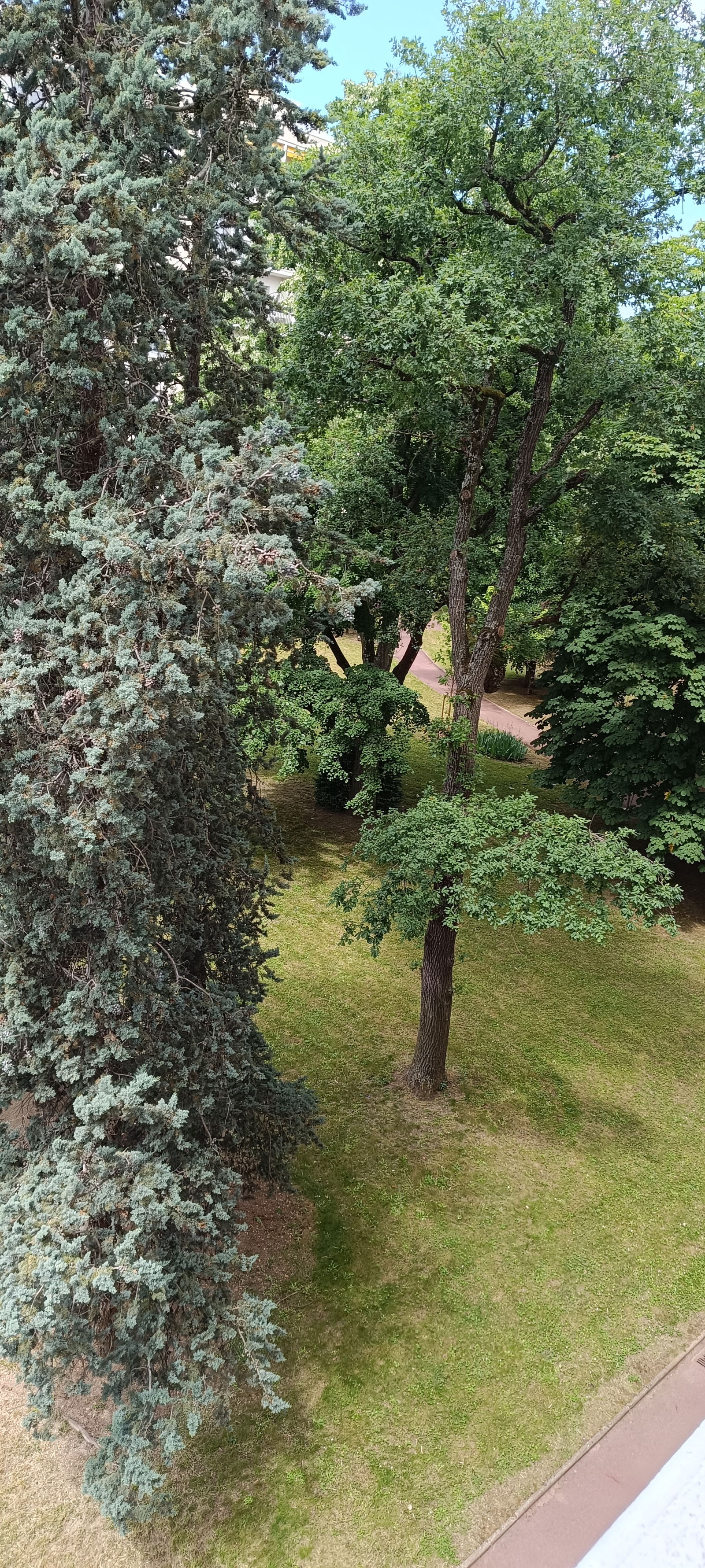 Chambre Chez L'habitant Lyon 553550