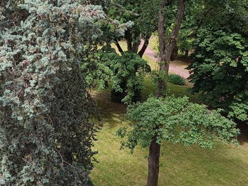 Chambre Chez L'habitant Lyon 553550-10