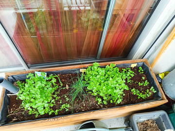 Chambre Chez L'habitant Lyon 553550-11