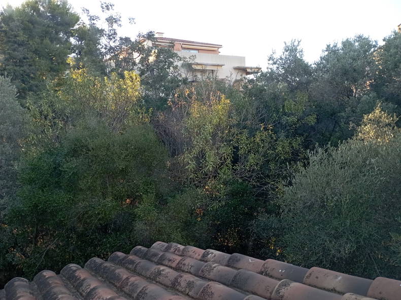Homestay Marseille 675946-5