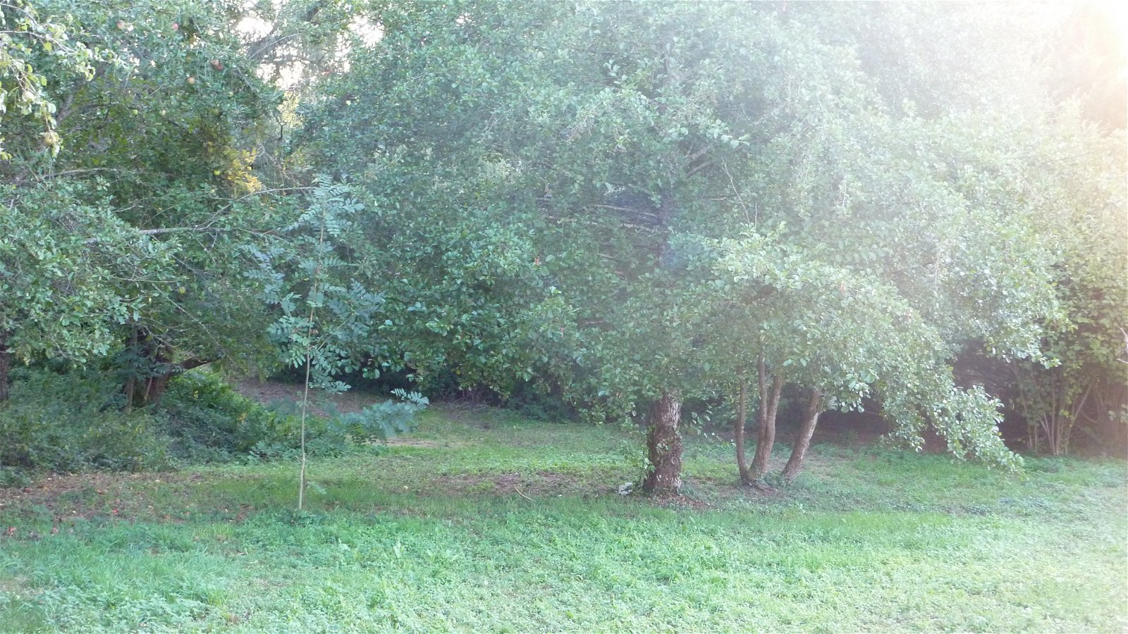 Kotimajoitus Saint-André-de-Najac 204568