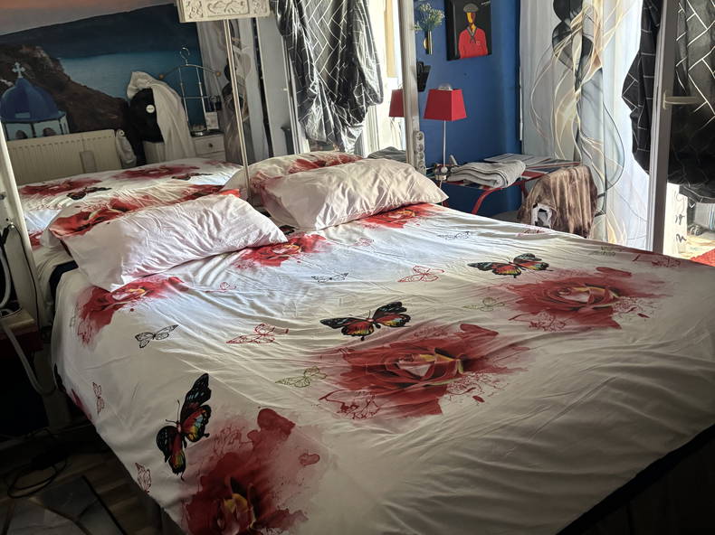 Kolokation Saint-Médard-en-Jalles 622228-1