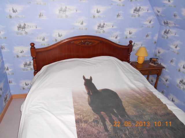 Chambre Chez L'habitant Beaufai 47897