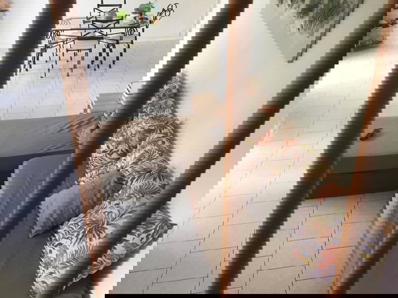 Colocação Basse-Terre 146343-5