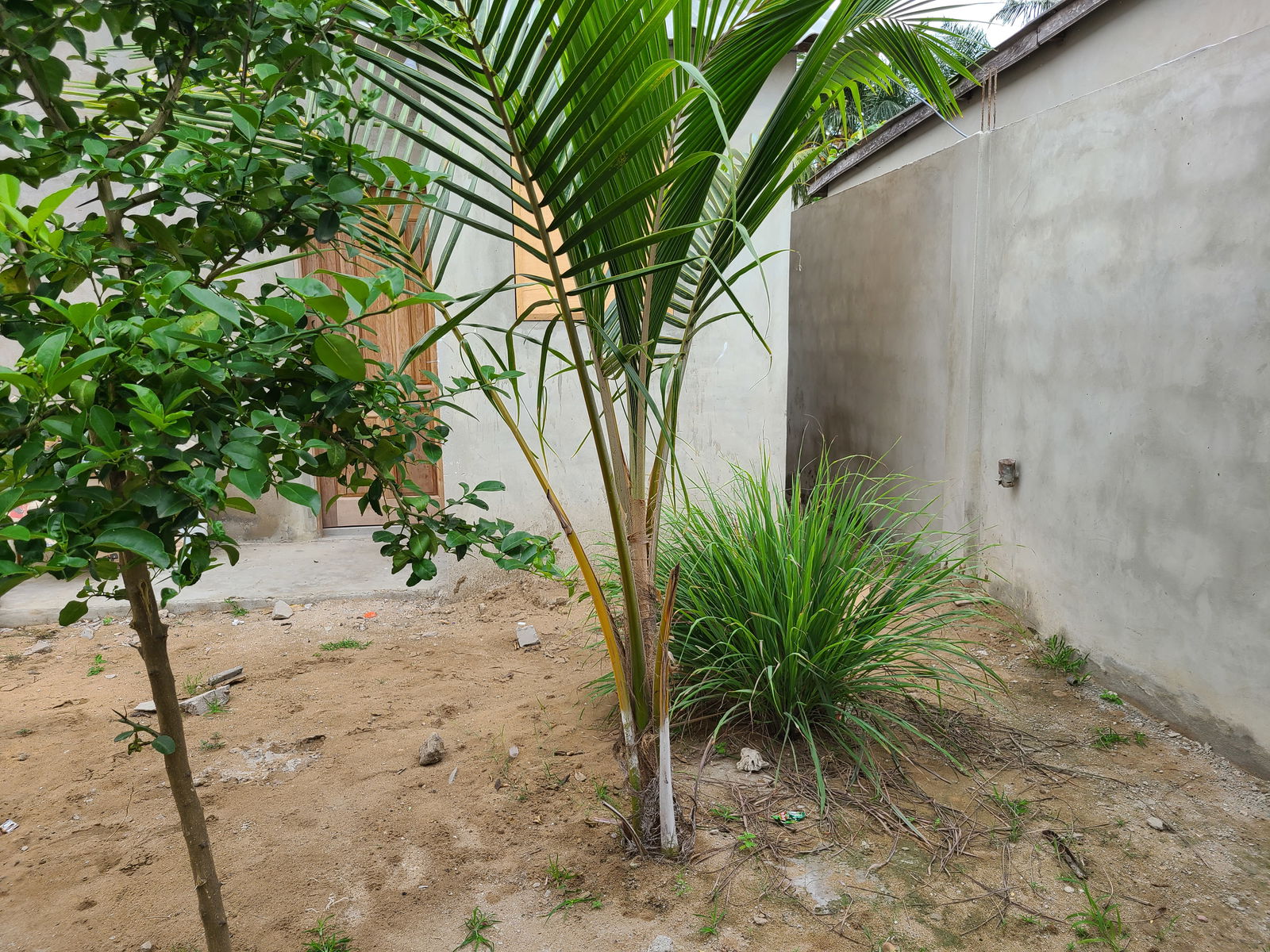 Hospedagem Em Casa De Família Lomé 151956