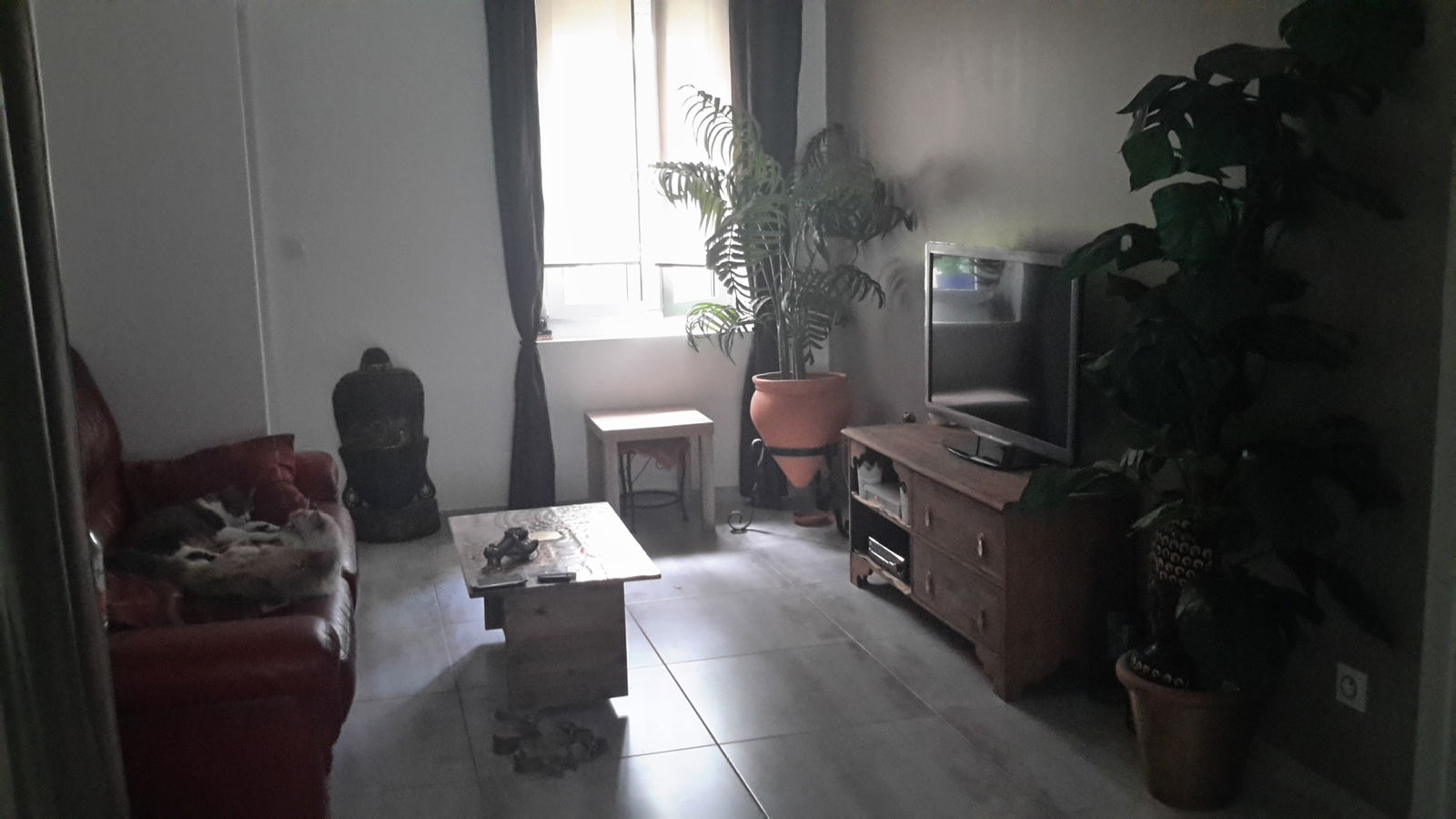 Chambre Chez L'habitant Perpignan 181139