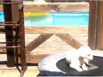 Chambre Chez L'habitant Algoz 182058-8