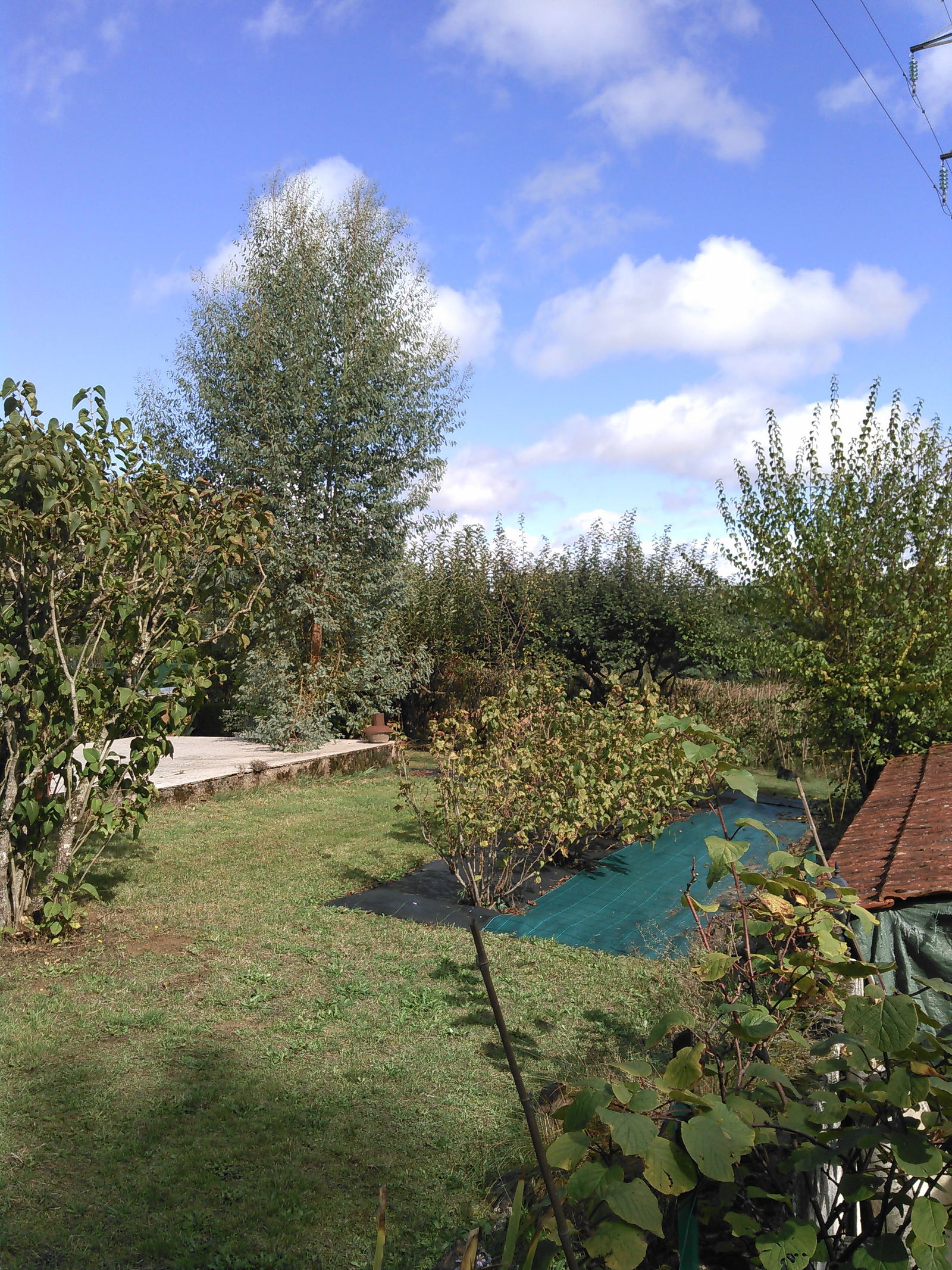 Homestay Diges 183066