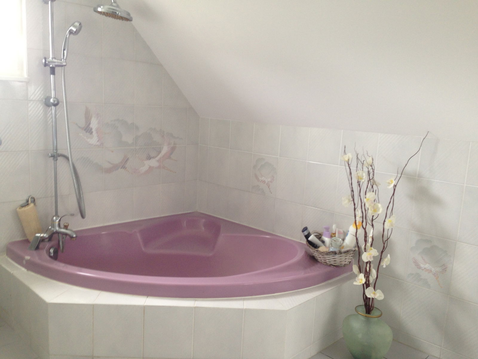 Chambre Chez L'habitant Saint-Louis 189119