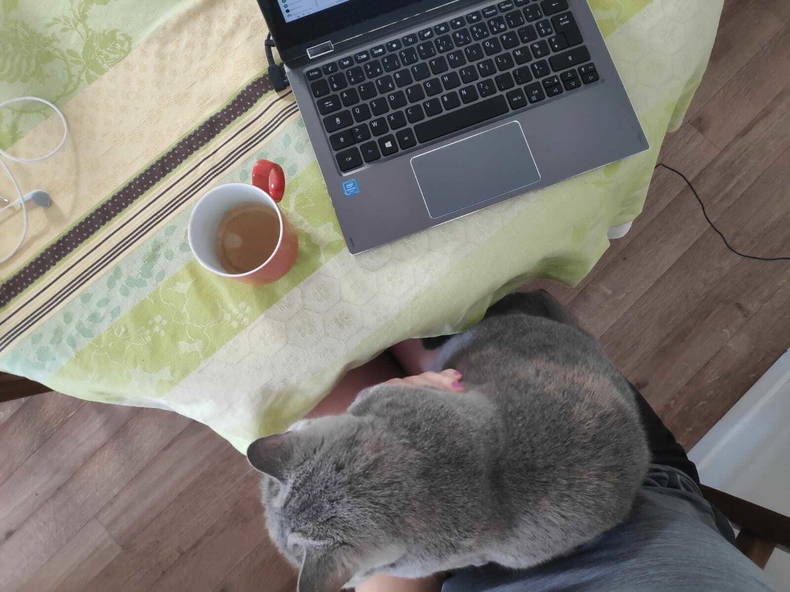 Chambre Chez L'habitant Clamart 236249-1