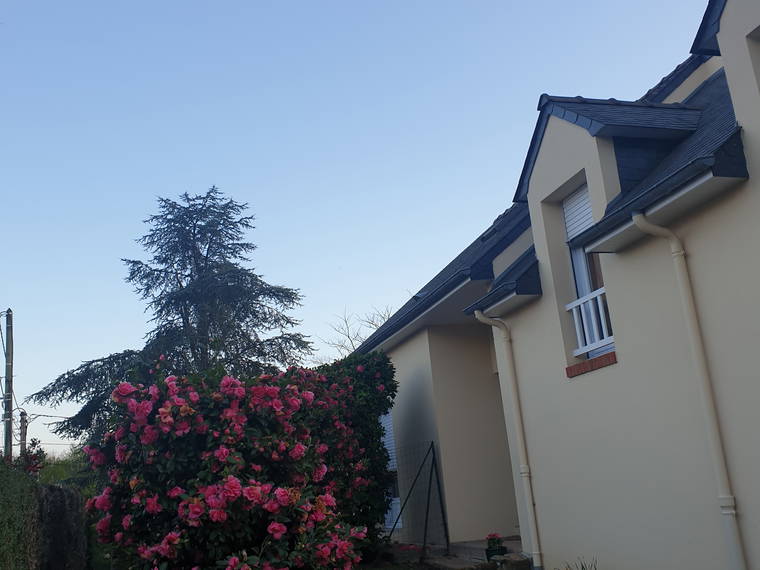 Homestay Nantes 249441