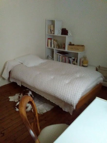 Hospedagem Em Casa De Família Vichy 250586