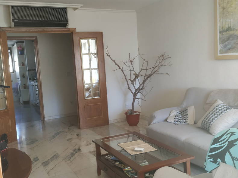 Gastfamilie Alicante (Alacant) 254106-1