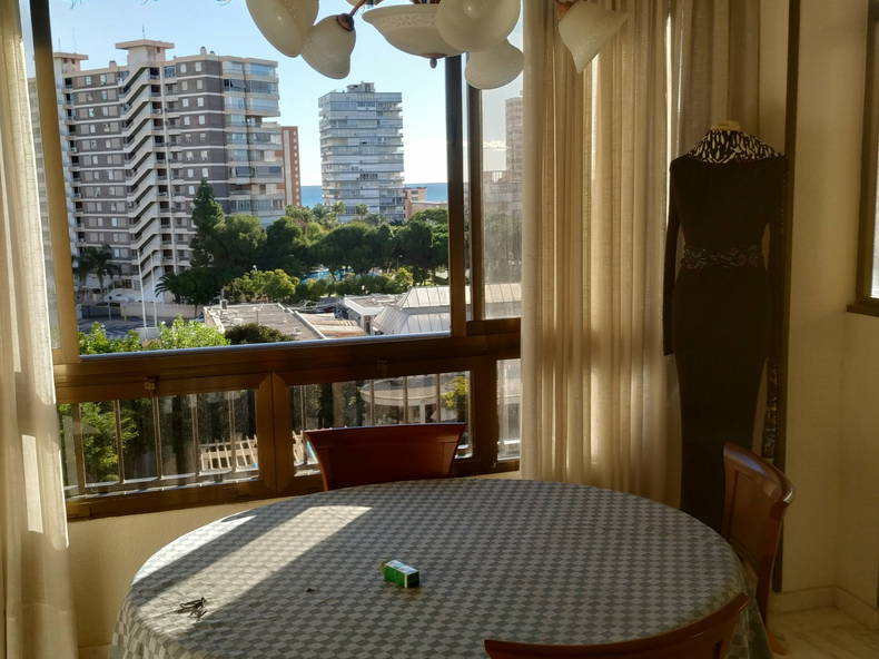 Gastfamilie Alicante (Alacant) 254106-4