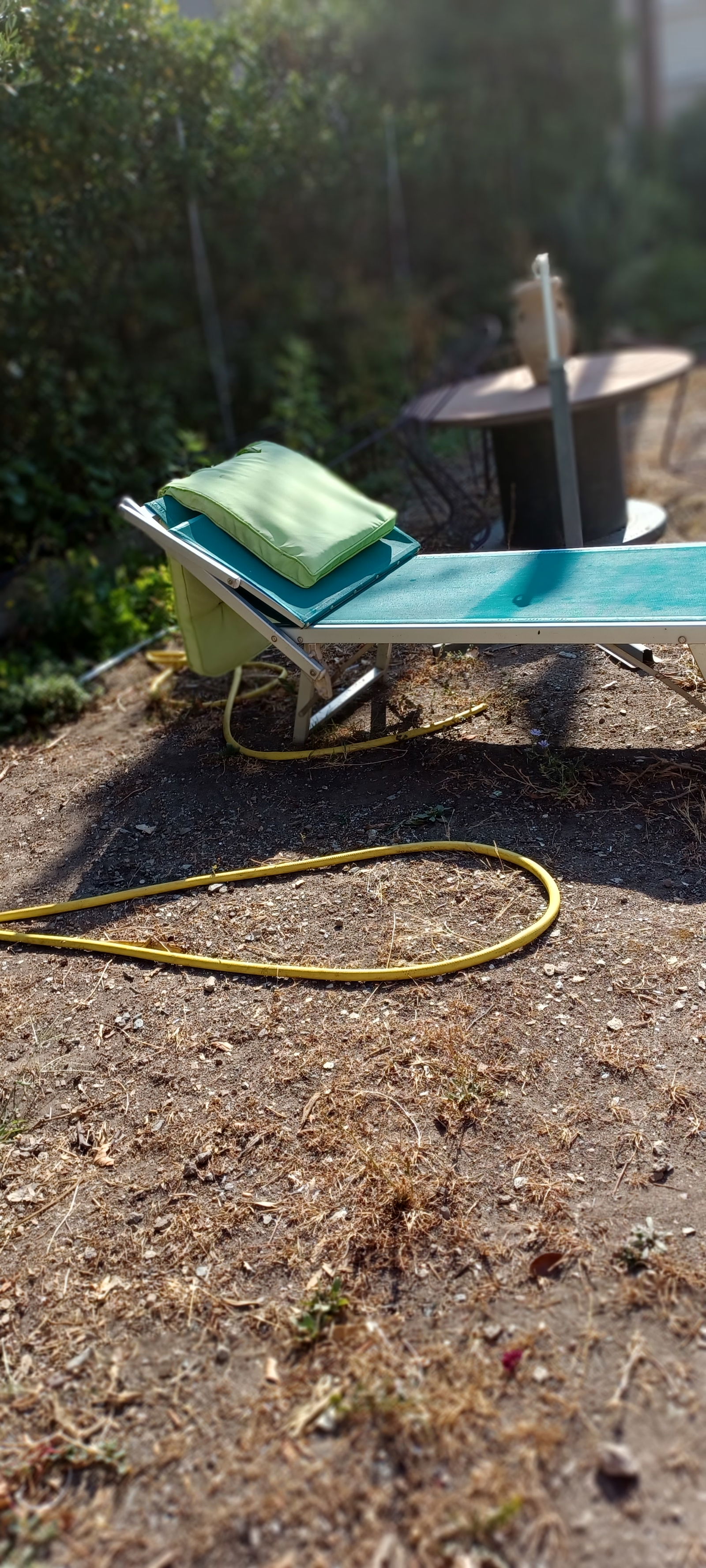 Gastgezin Bastia 278628