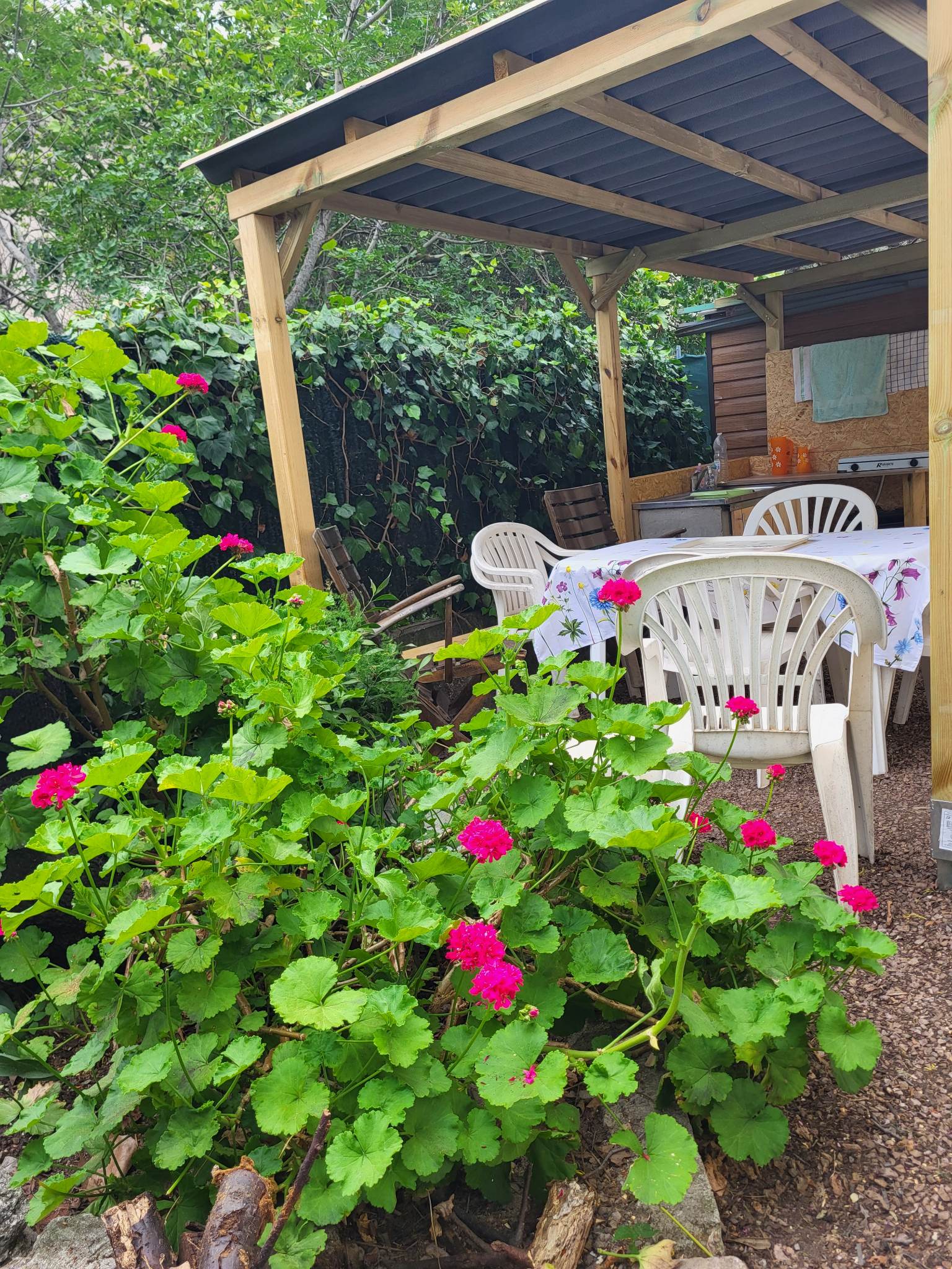 Gastgezin Bastia 279001