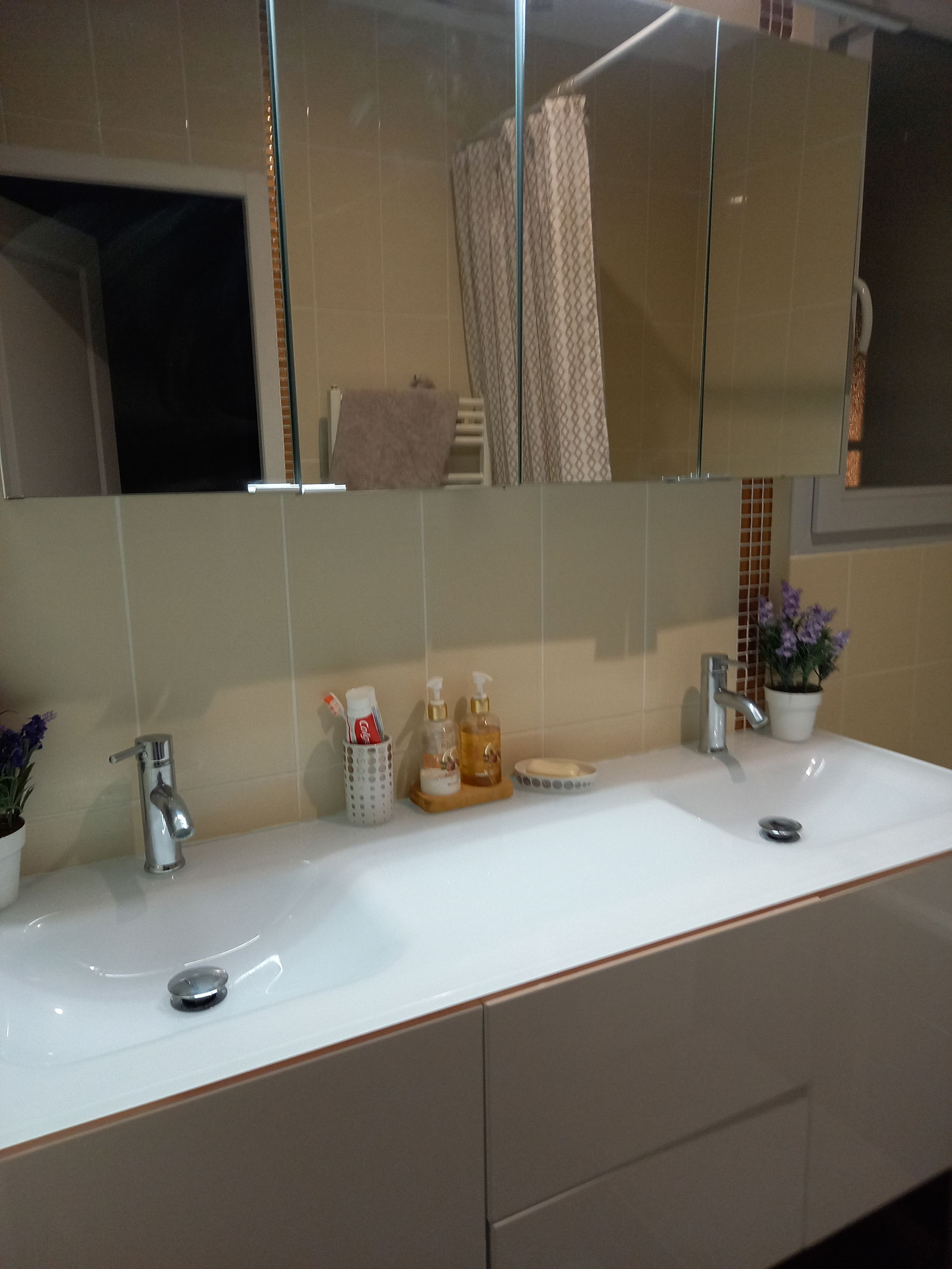 Hemvistelse Rillieux-la-Pape 306777