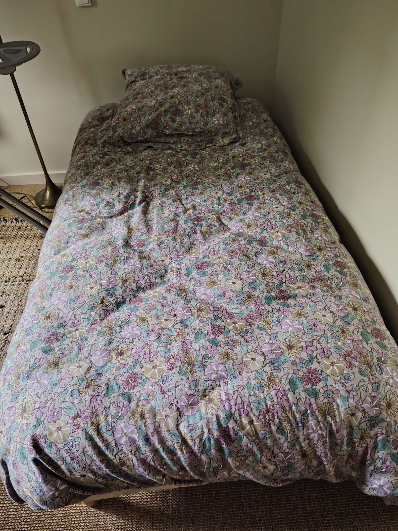 Chambre Chez L'habitant Mont-Saint-Aignan 376666