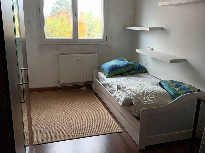 Chambre Chez L'habitant Strasbourg 390944-2