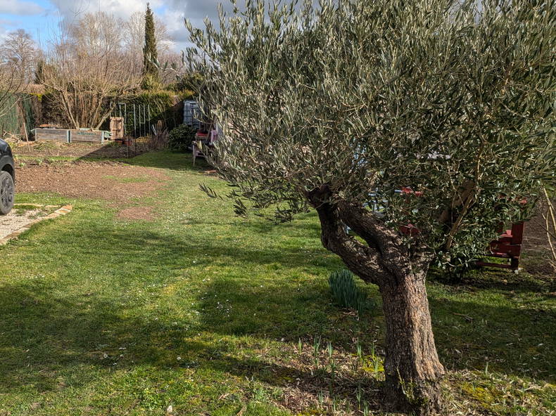 Zakwaterowanie U Rodziny Damerey 396475-5