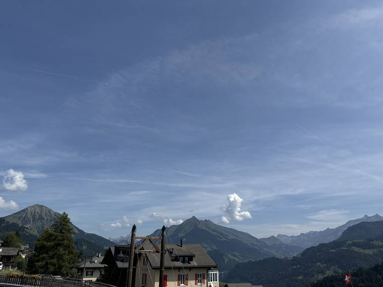 Homestay Leysin 421185