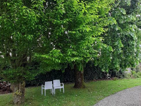 Chambre Chez L'habitant Janzé 490598-5