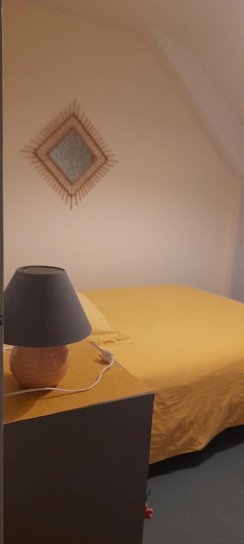 Chambre Chez L'habitant Janzé 494442