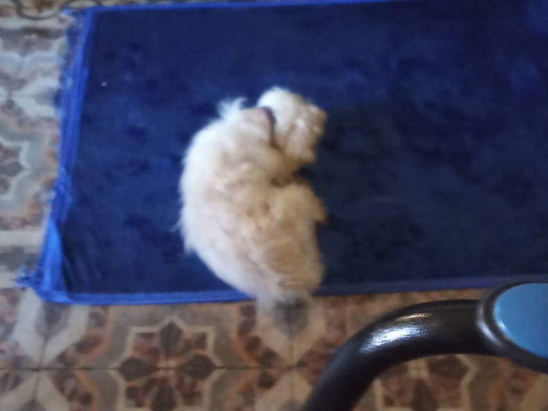 Bed And Breakfast Arles 591659-4