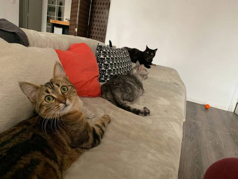 Gastfamilie Sassenage 653521