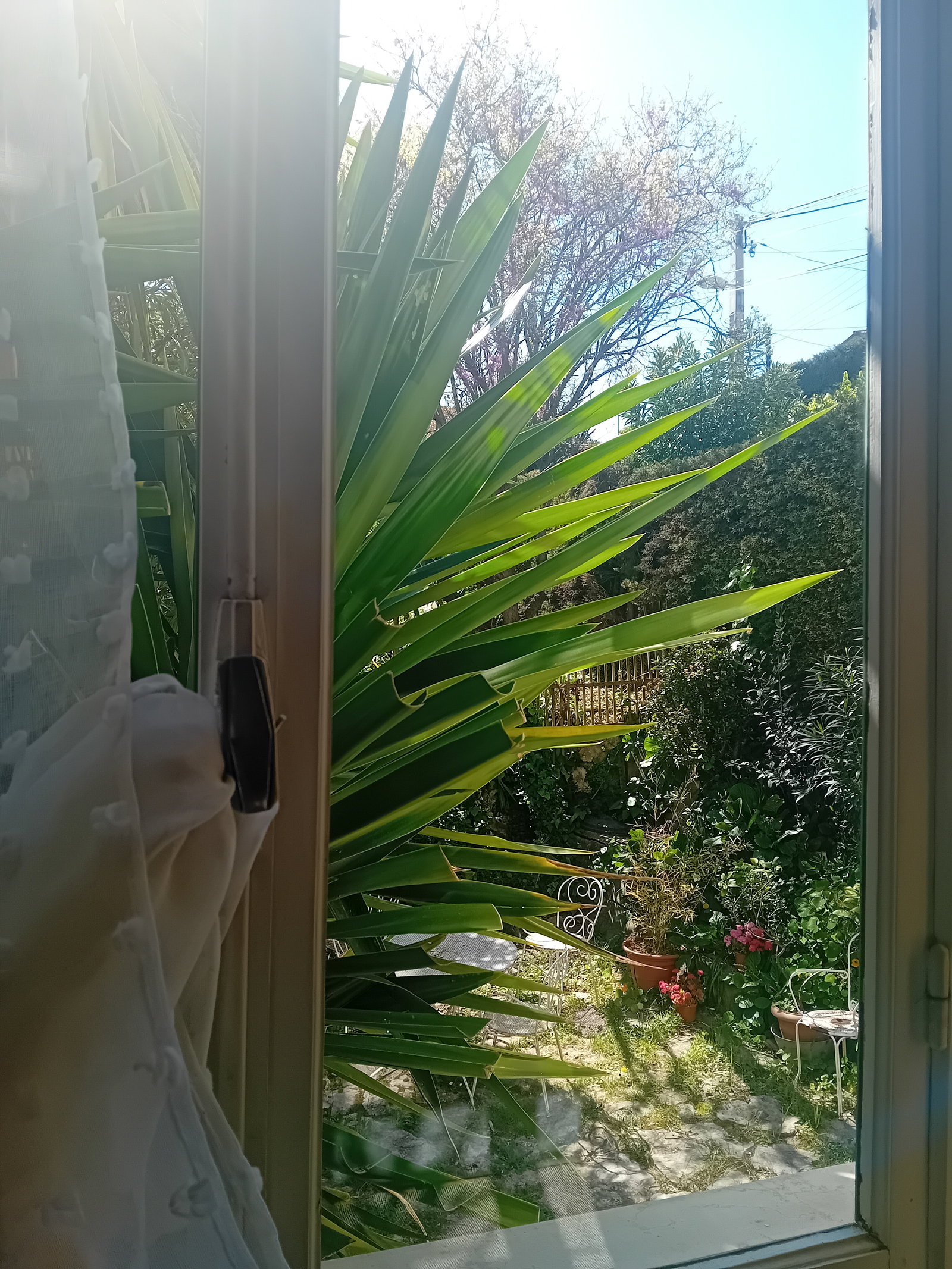 Chambre Chez L'habitant Nice 654667