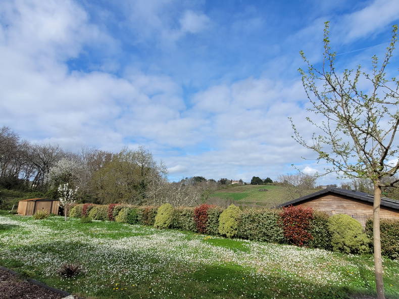 Homestay Le Tourne 663298-2