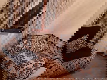 Quedarse En Casa Chelles 664336-3