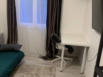 Chambre chez l'habitant à louer à Chevru - chambre-1