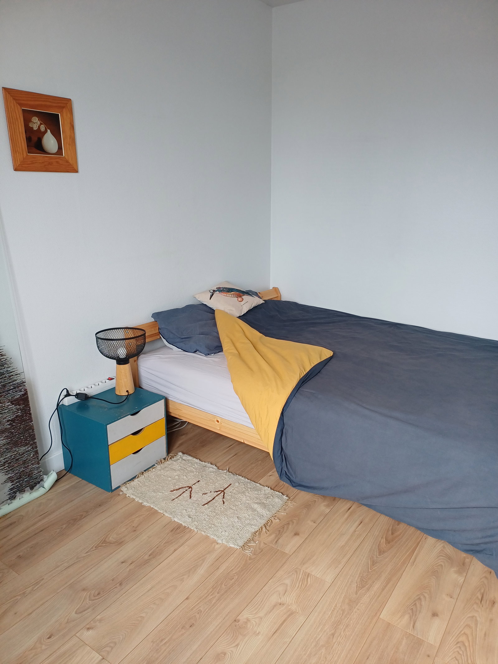 Chambre Chez L'habitant Rennes 674119