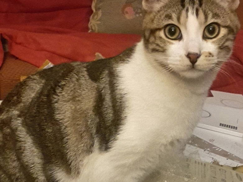 Quedarse En Casa Cergy 227800-4