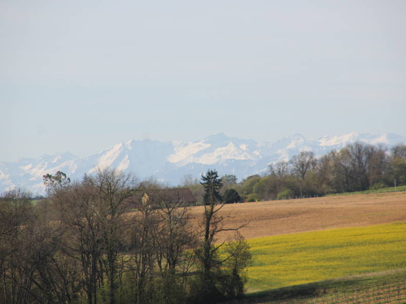 Chambre Chez L'habitant Payros-Cazautets 594176-2