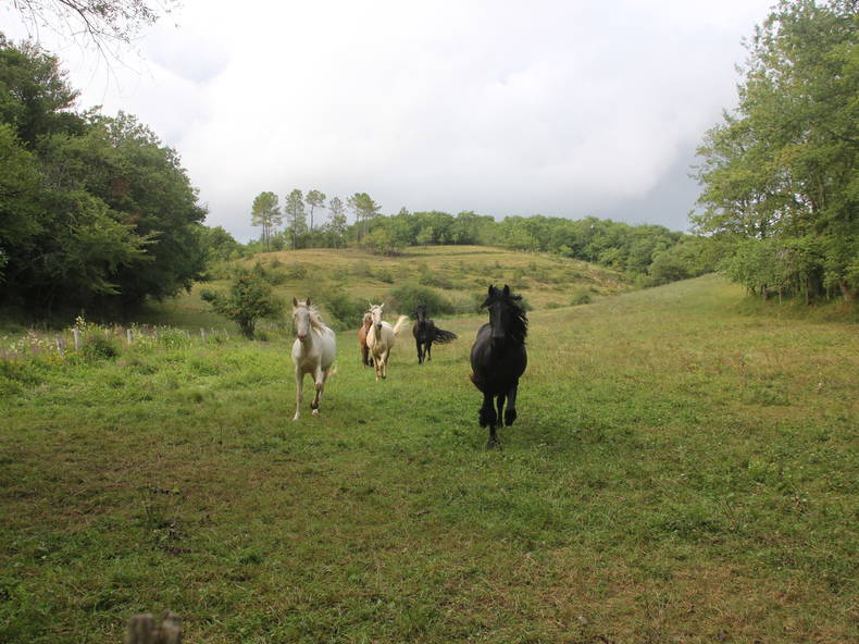 Chambre Chez L'habitant Payros-Cazautets 594176-5