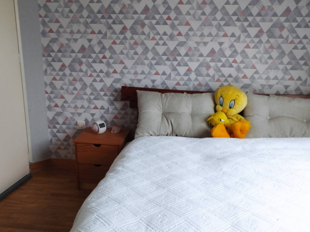 Chambre Chez L'habitant Saint-Jouan-de-l'Isle 254997-1
