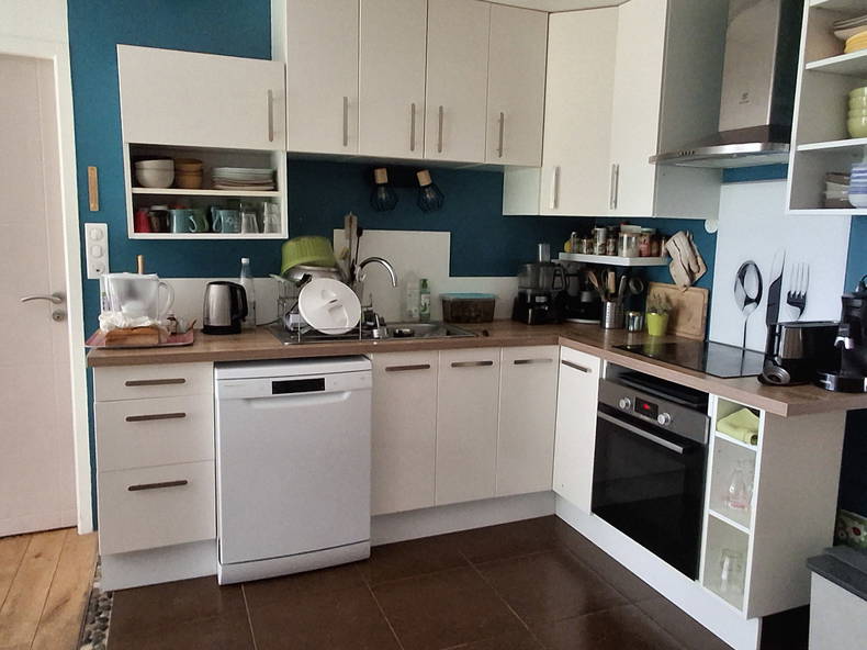 Kolokasie Pompaire 539552-4